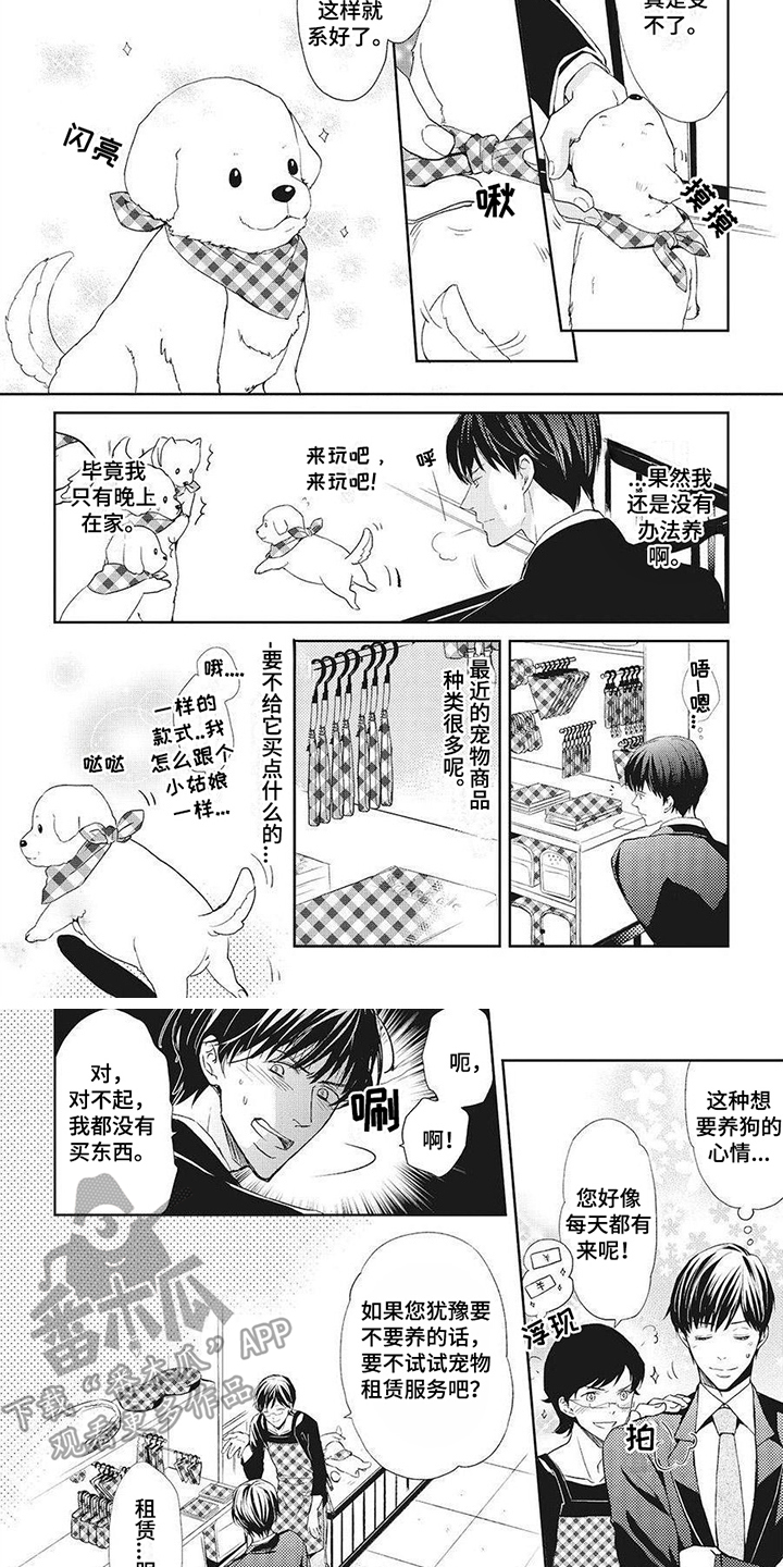 狼的故事真实漫画,第5章：项圈3图