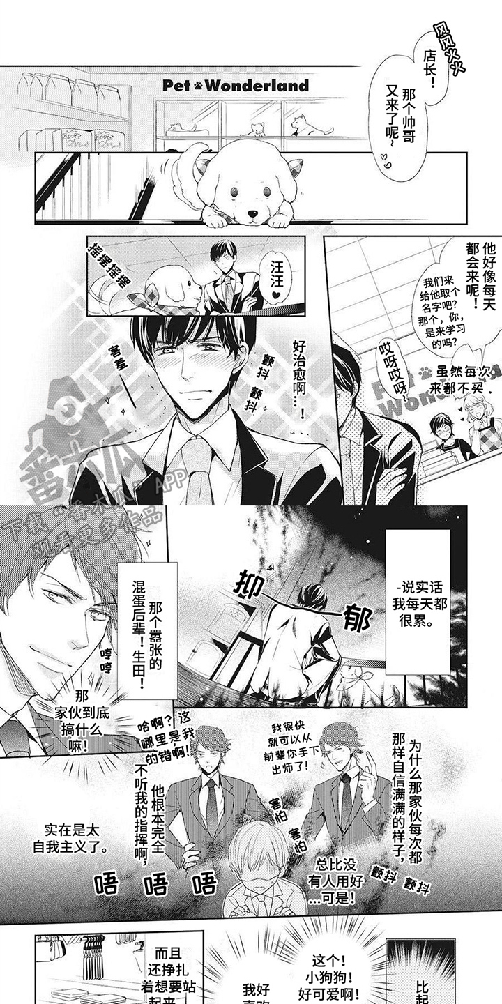 狼的故事真实漫画,第5章：项圈1图