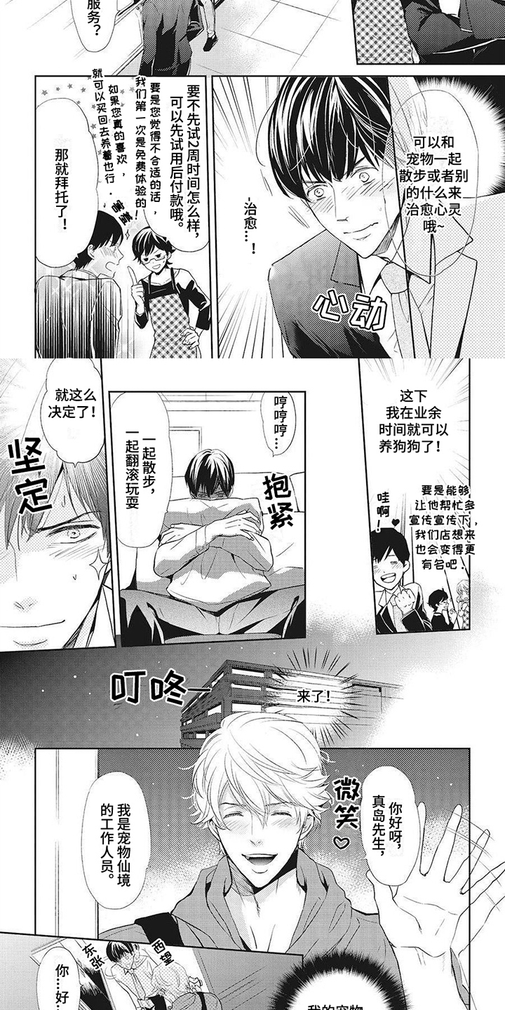 狼的故事真实漫画,第5章：项圈4图