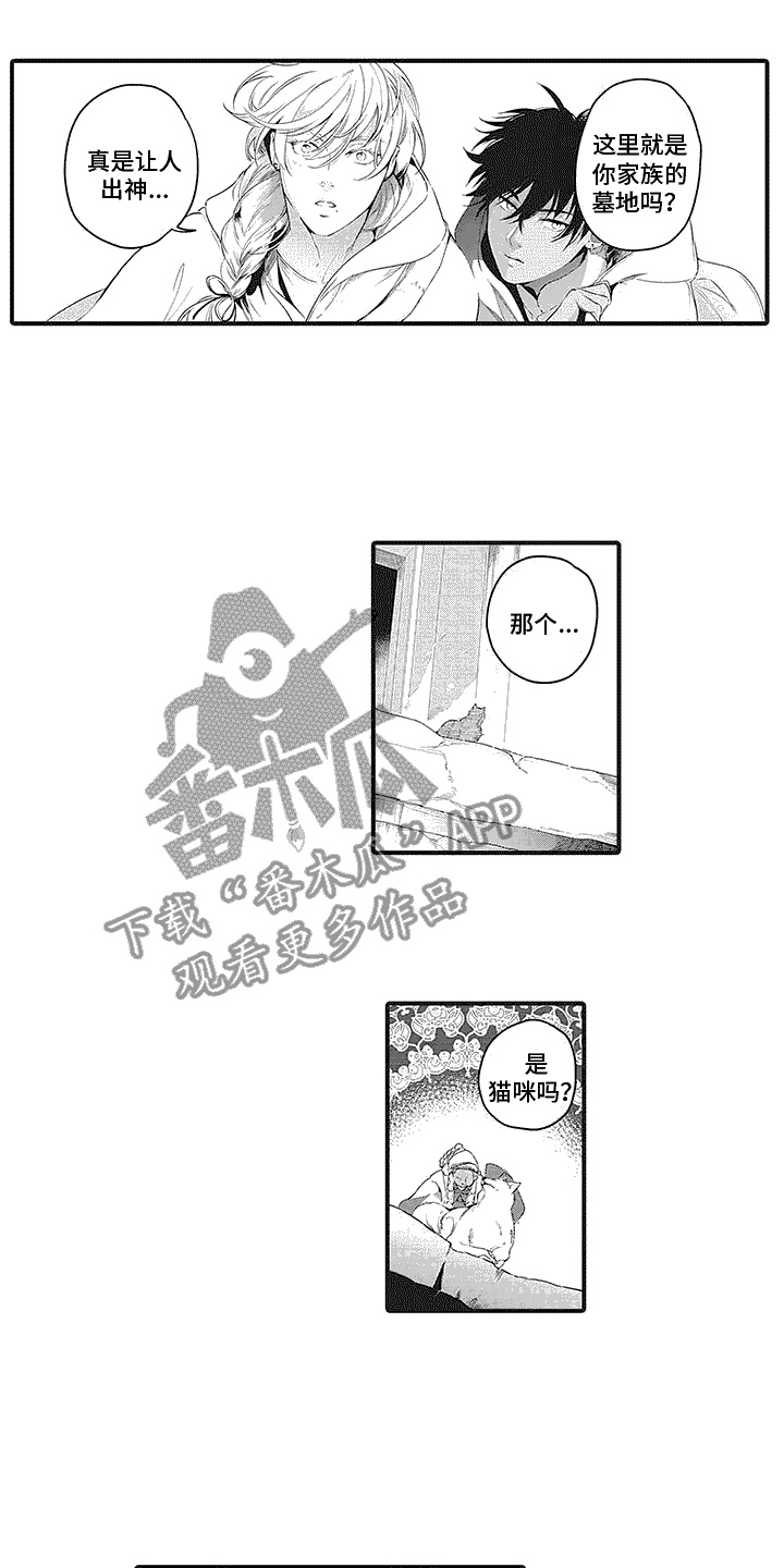 撒哈拉的故事读后感50字漫画,第18章：家族墓地2图