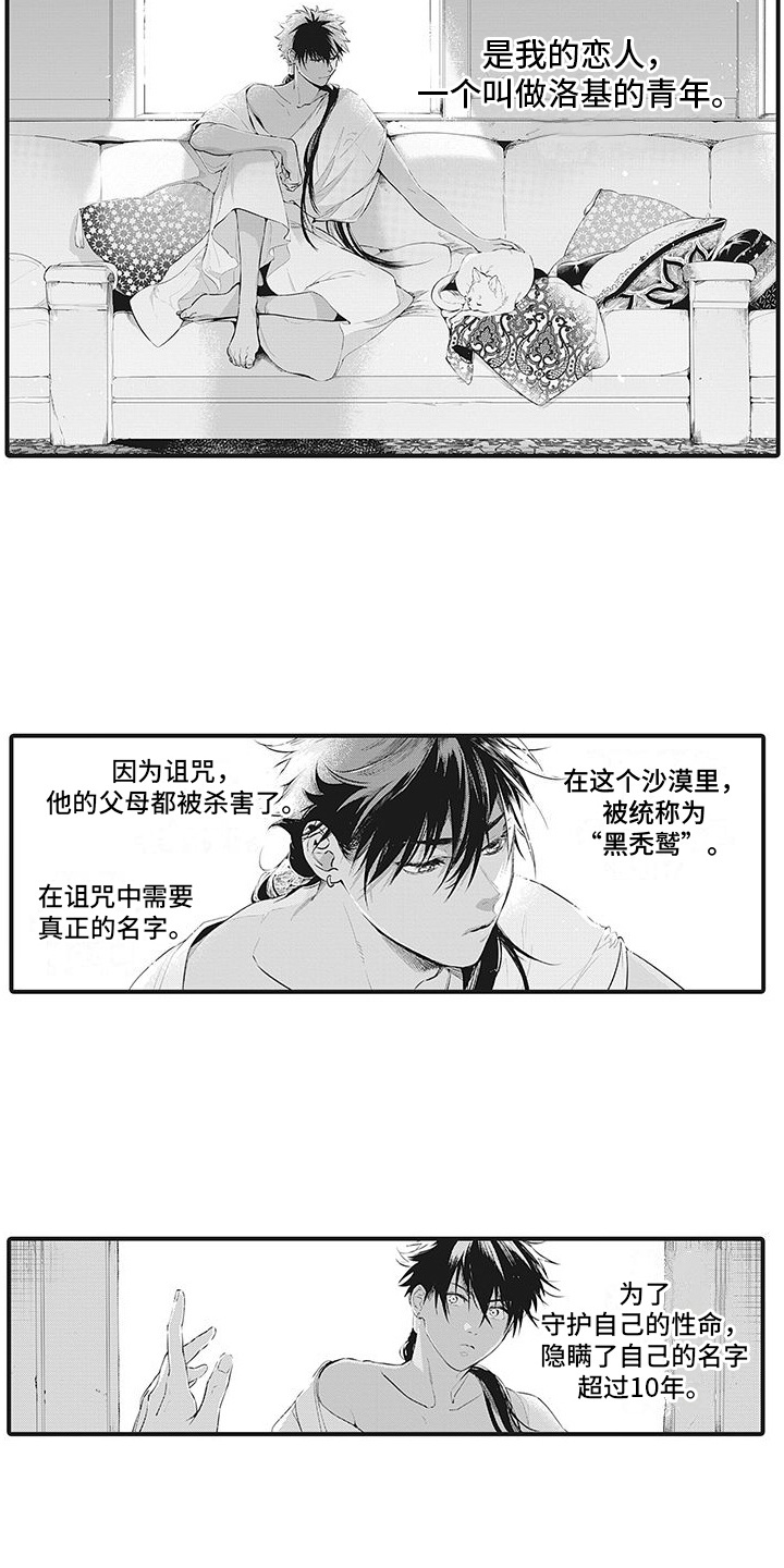 撒哈拉的变迁阅读答案漫画,第1章：黑秃鹫4图