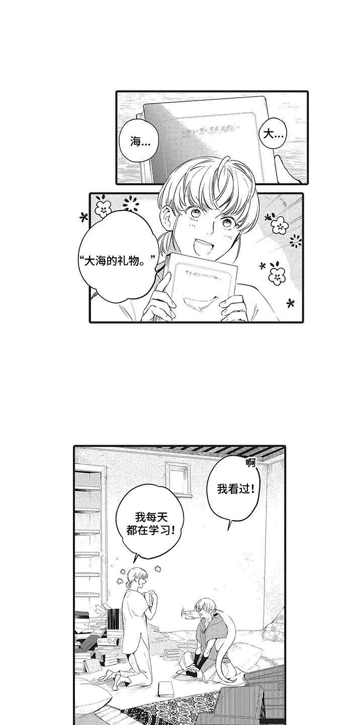 撒哈拉的眼泪简介漫画,第6章：整理1图