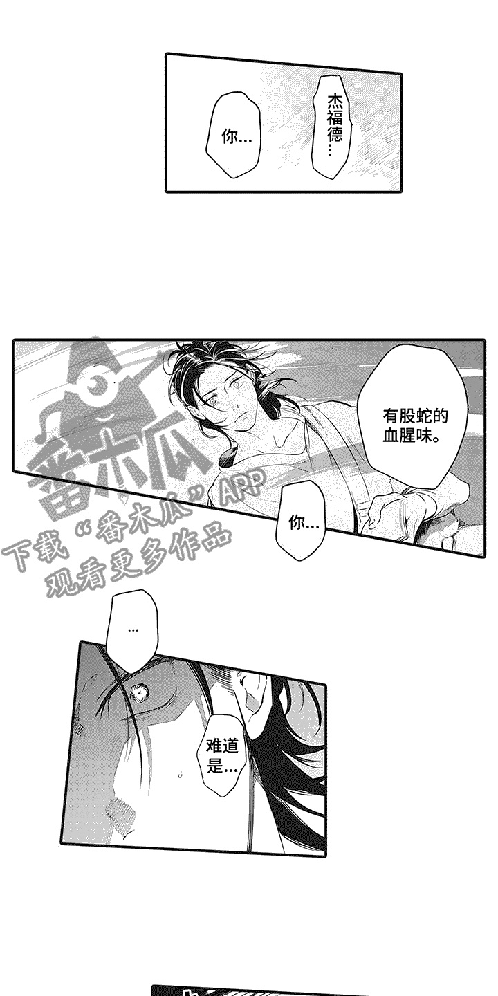 撒哈拉的故事读后感50字漫画,第16章：咒术2图