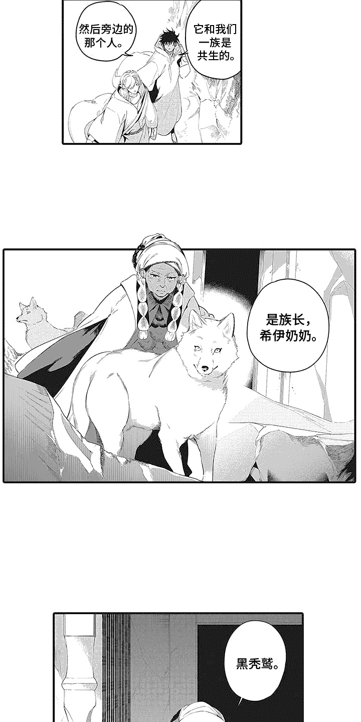 撒哈拉的故事读后感50字漫画,第18章：家族墓地3图