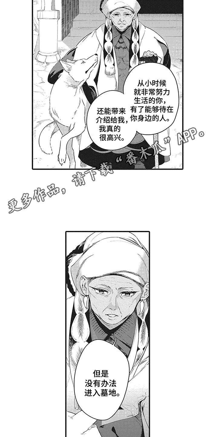撒哈拉的故事读后感50字漫画,第18章：家族墓地4图
