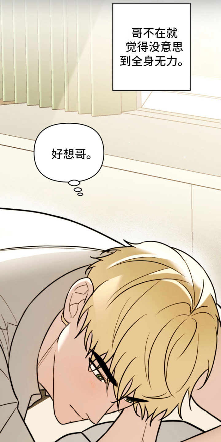 年下是什么意思呀小说漫画,第9章：不再分开5图