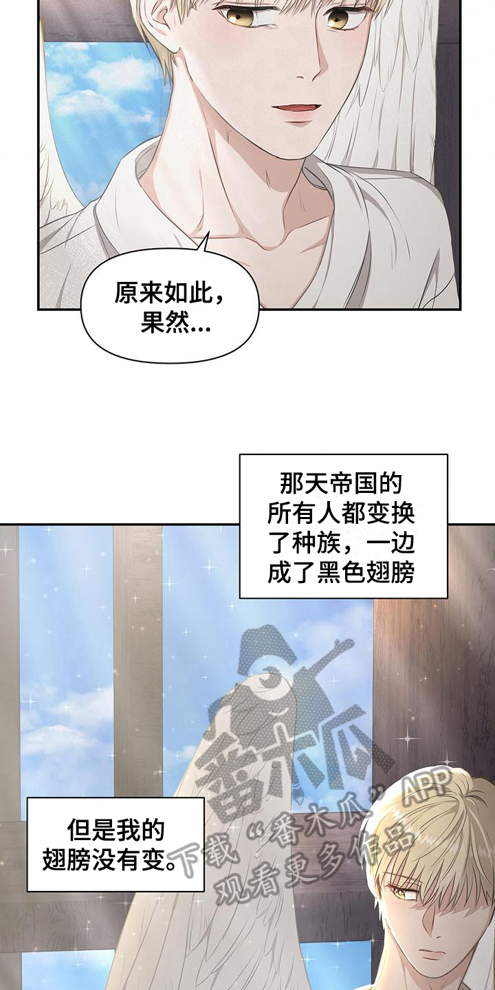 玩家生存指南漫画观看漫画,第13章：通知5图