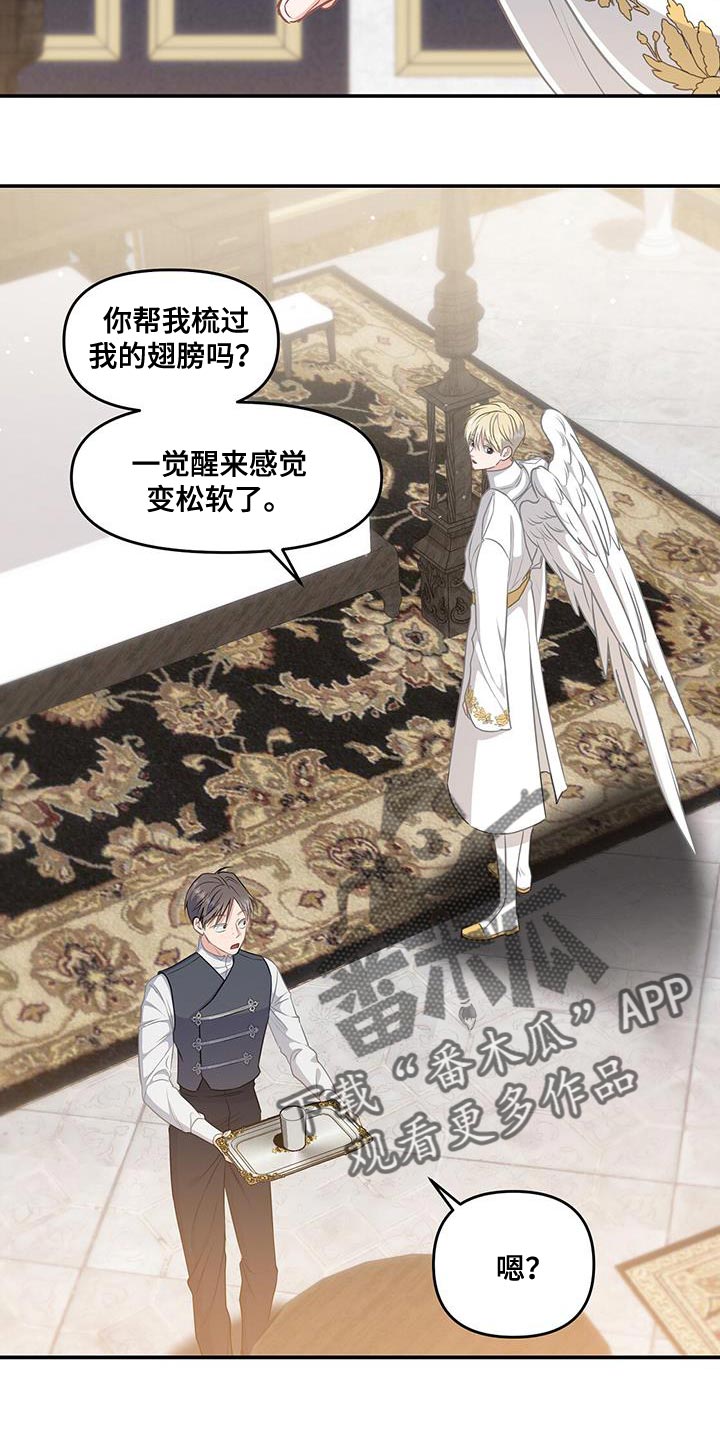 玩家生存指南免费下拉式漫画,第50章：翅膀4图