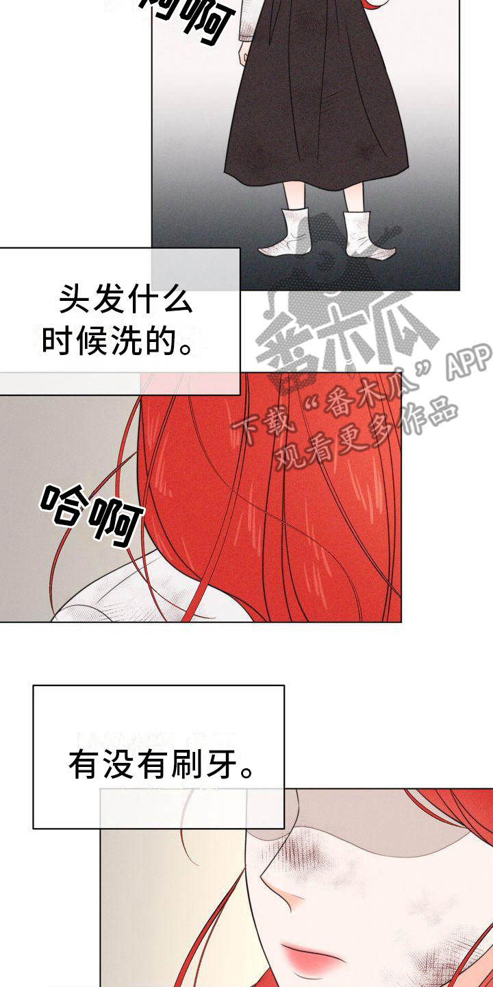 红狐电视剧40集免费观看西瓜视频漫画,第18章：香气2图