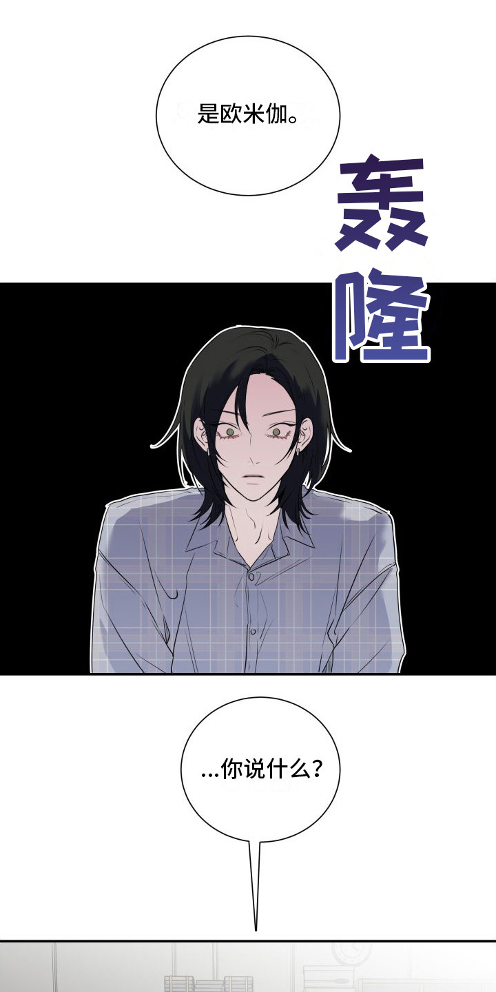 信息素骗局小说在线观看漫画,第13章：分化欧米伽1图