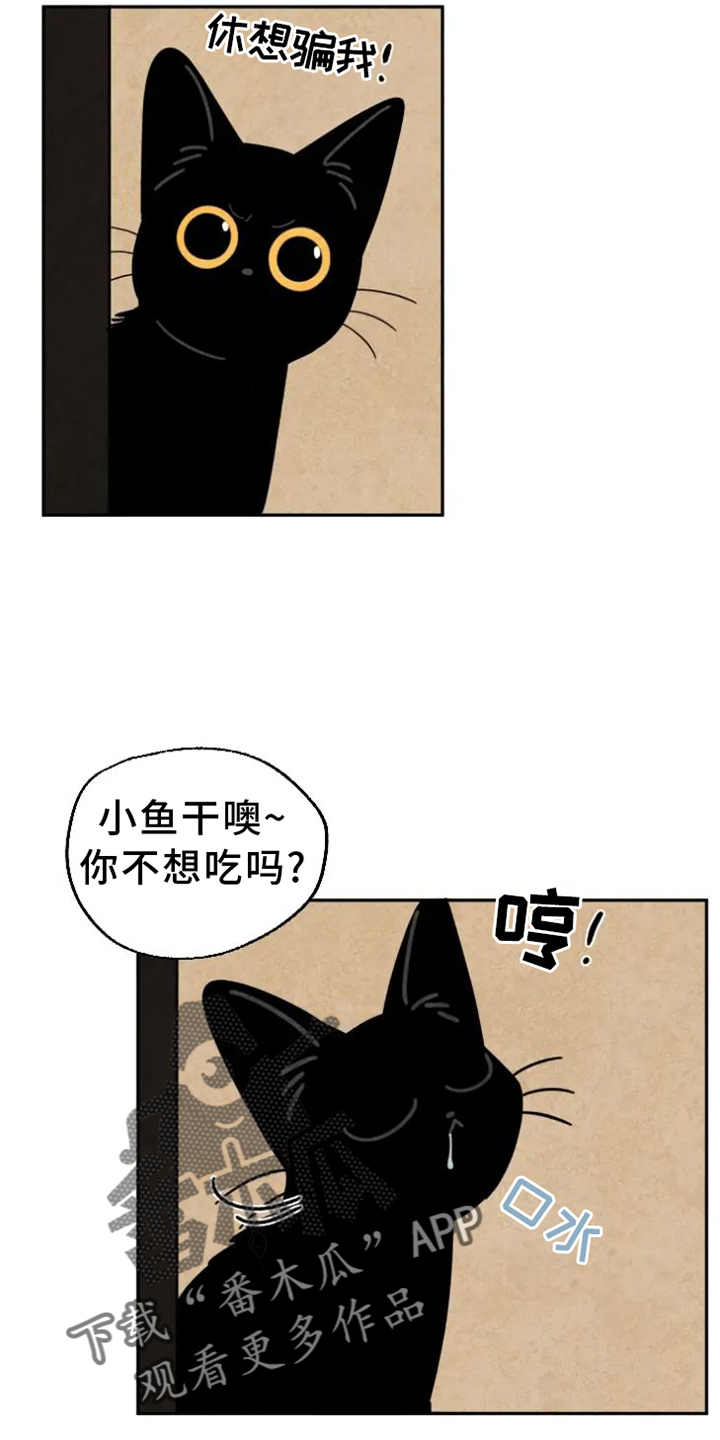 金福的秘密漫画,第54章：原因4图