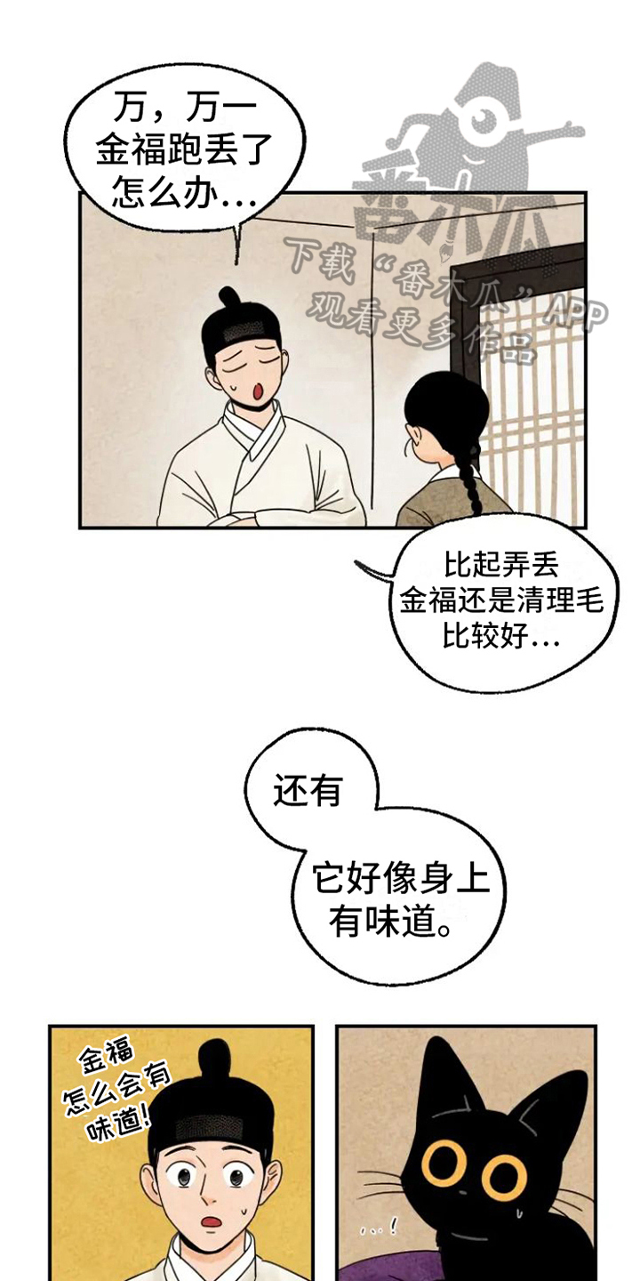 金福创业故事漫画,第15章：脏猫1图