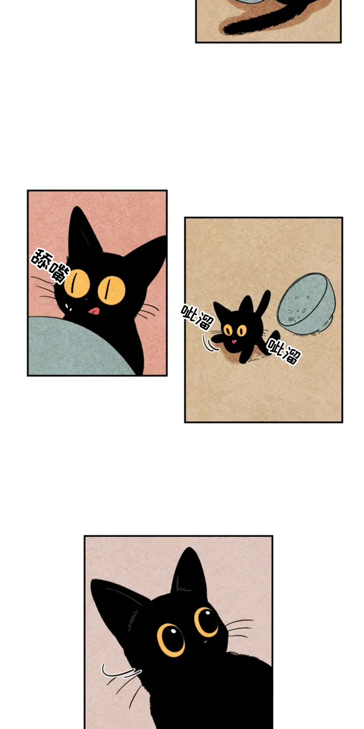 金福的故事解说漫画,第5章：融入5图