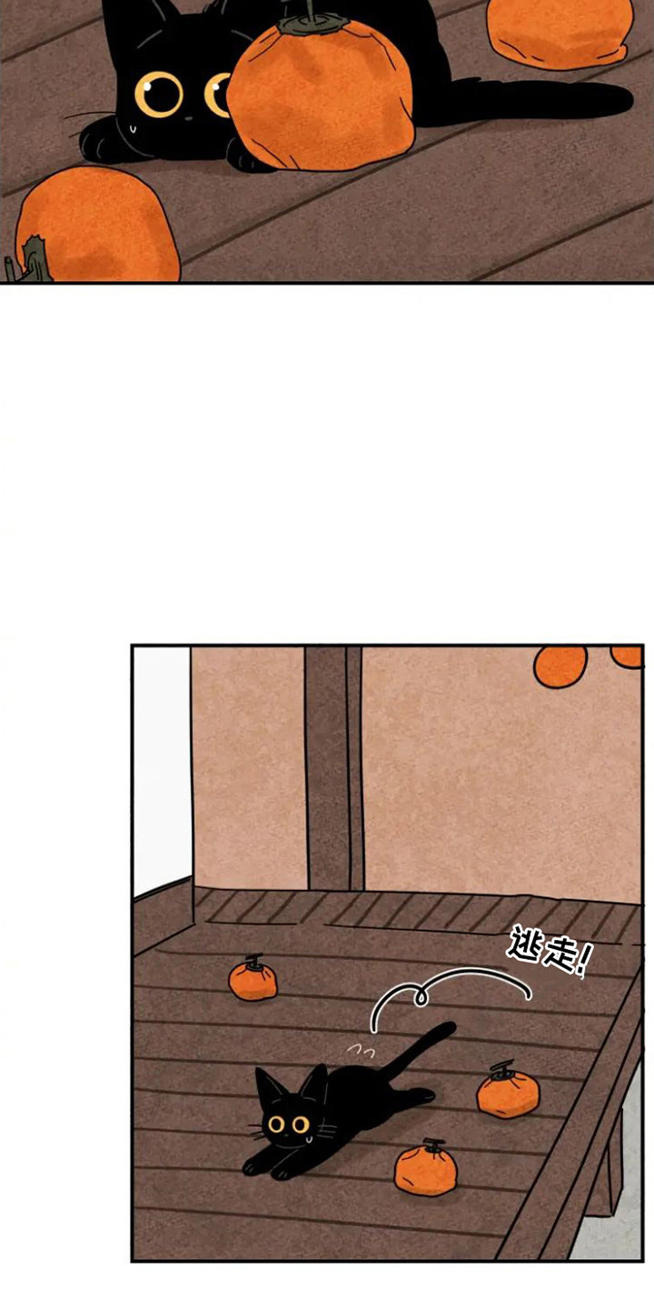 金福的故事解说漫画,第29章：指责3图
