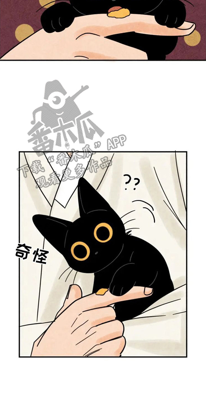 金福田京剧唱段漫画,第27章：悄悄外出2图