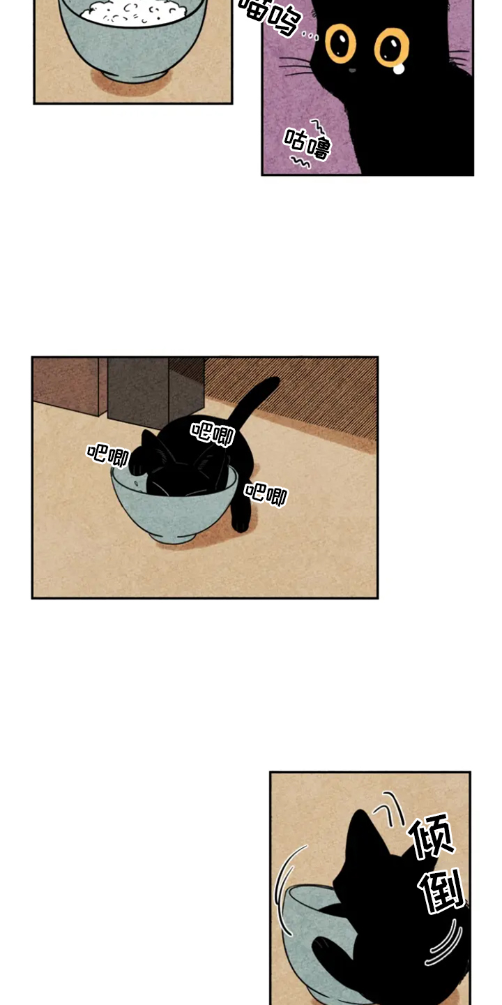 金福的故事解说漫画,第5章：融入4图