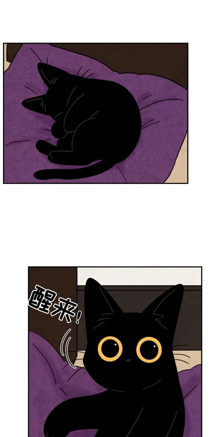 金福的故事 韩漫画,第47章：挠伤1图