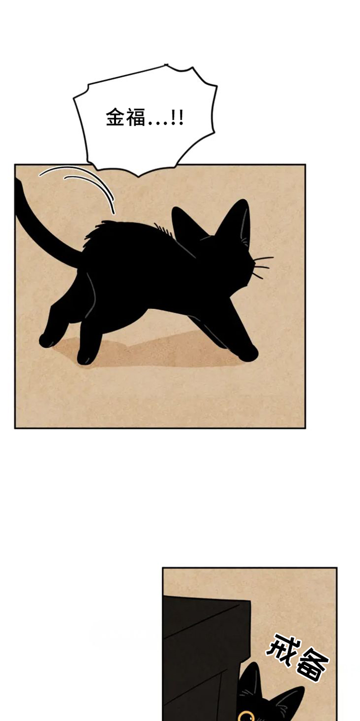 金福的秘密漫画,第54章：原因1图