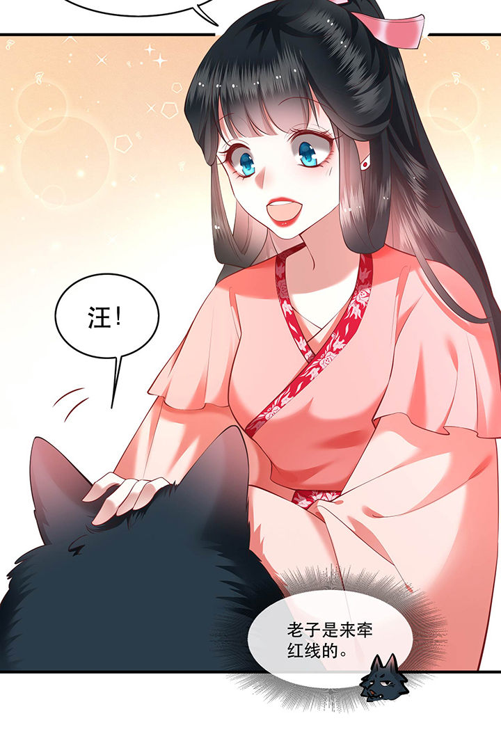 这个王妃有点野100集一口气看完漫画,第54章：学会给主人捡东西了！4图