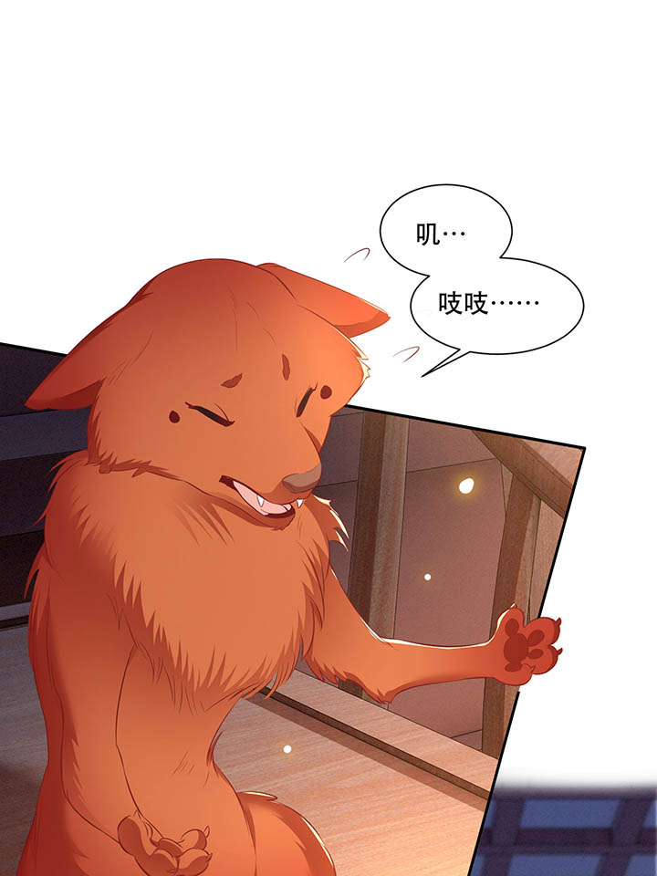 这个王妃有点野免费看漫画,第110章：赶紧把裤子脱了1图