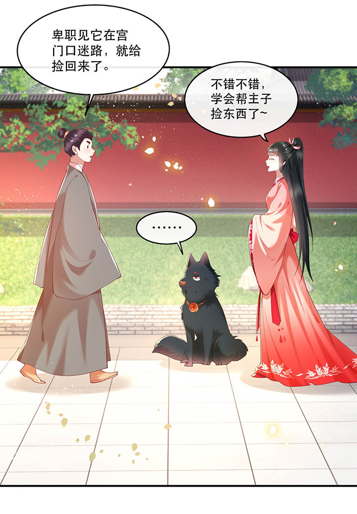这个王妃有点野100集一口气看完漫画,第54章：学会给主人捡东西了！5图