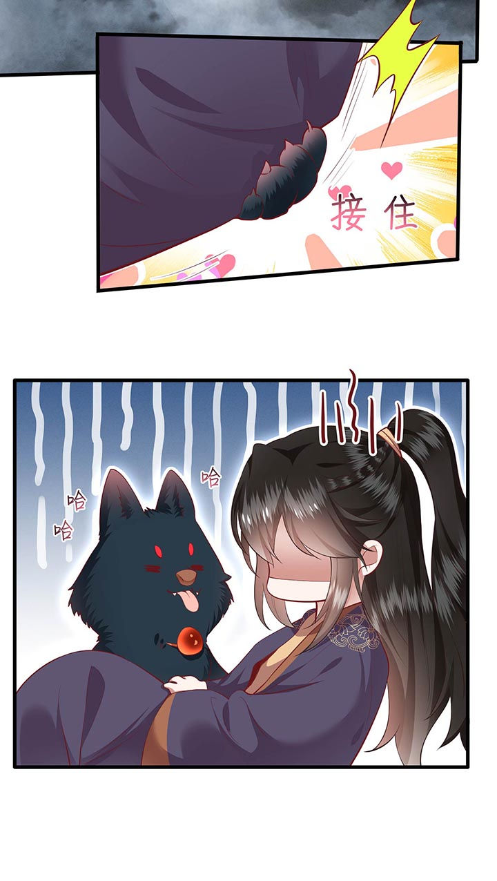 这个王妃路子野全集免费漫画,第85章：这次看你怎么救！5图