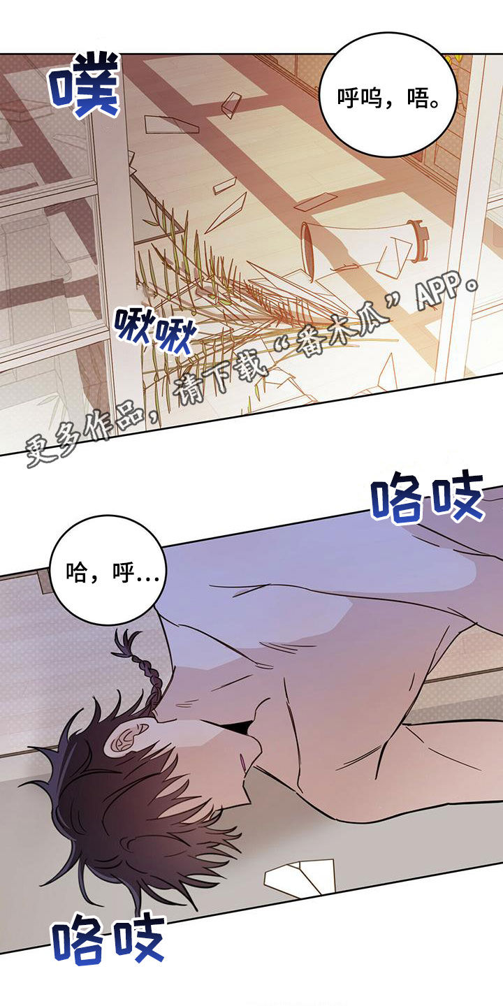 恶魔爱上小猫咪漫画漫画,第36章：酷刑1图