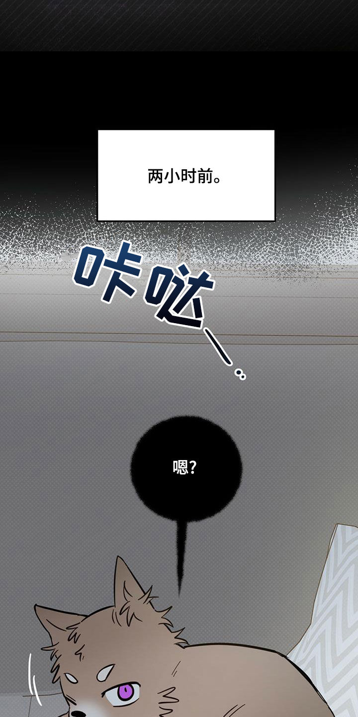 恶魔阿萨谢尔在召唤你漫画,第58章：祭品2图