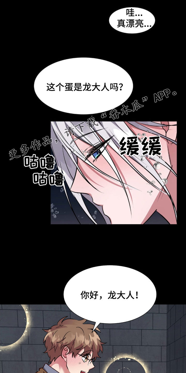 龙之神途漫画,第66章：无法平凡（完结）2图