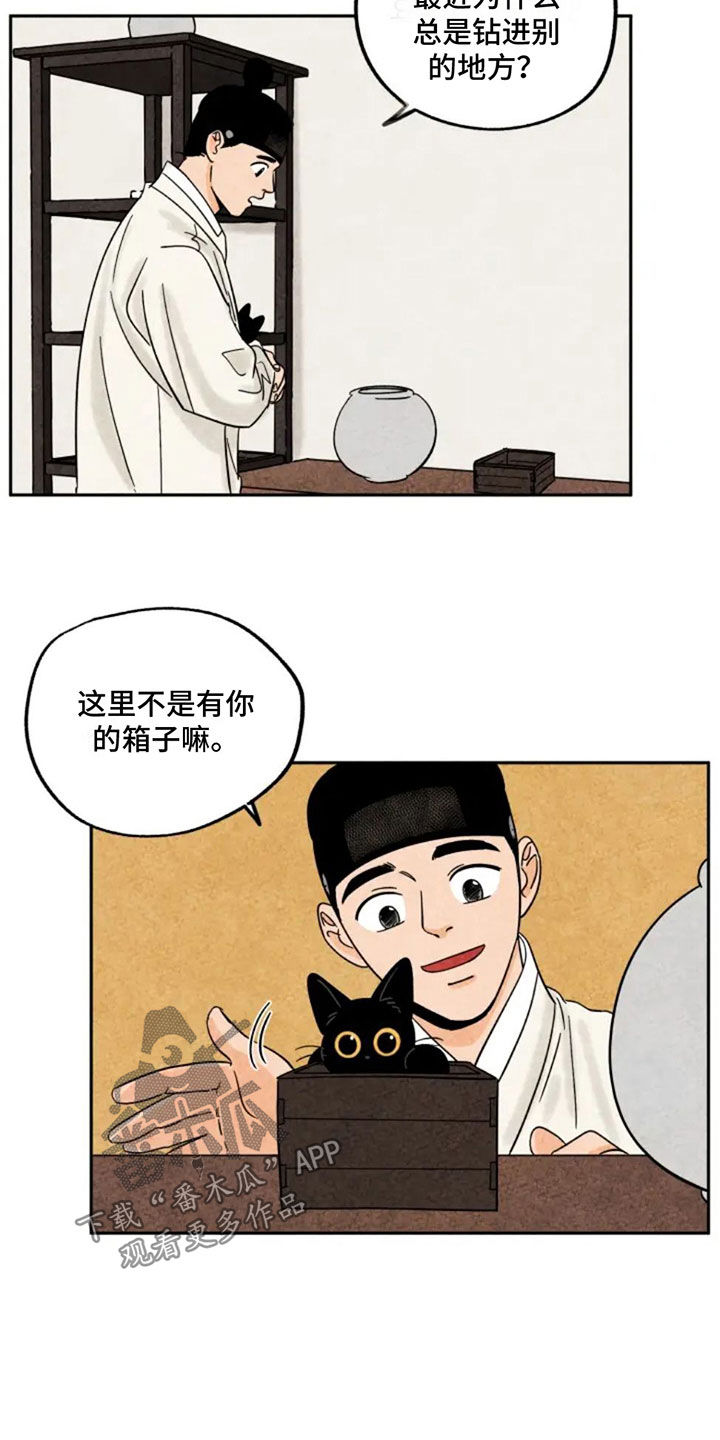 金福与瑞玉猕猴桃哪个品种更好漫画,第82章：出门4图