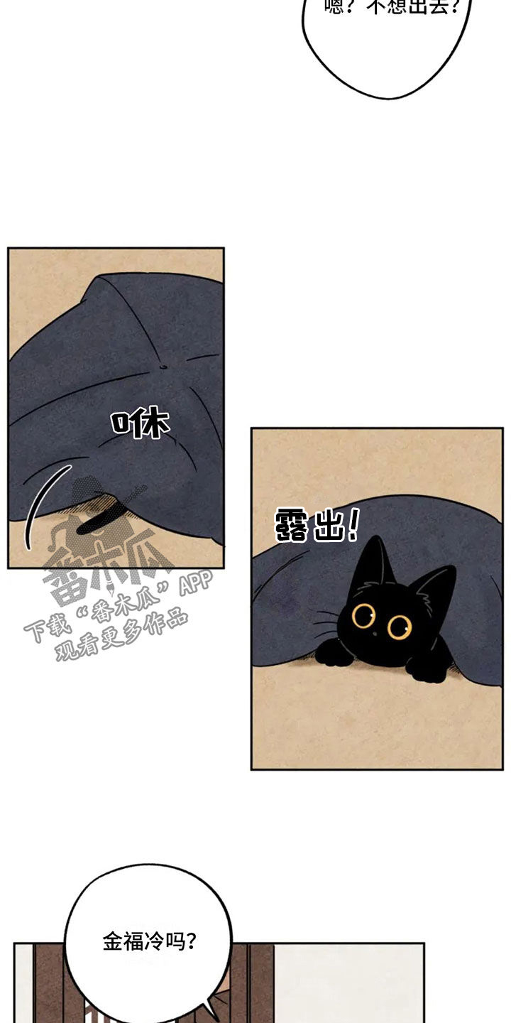 金福的故事全集漫画,第84章：集市5图
