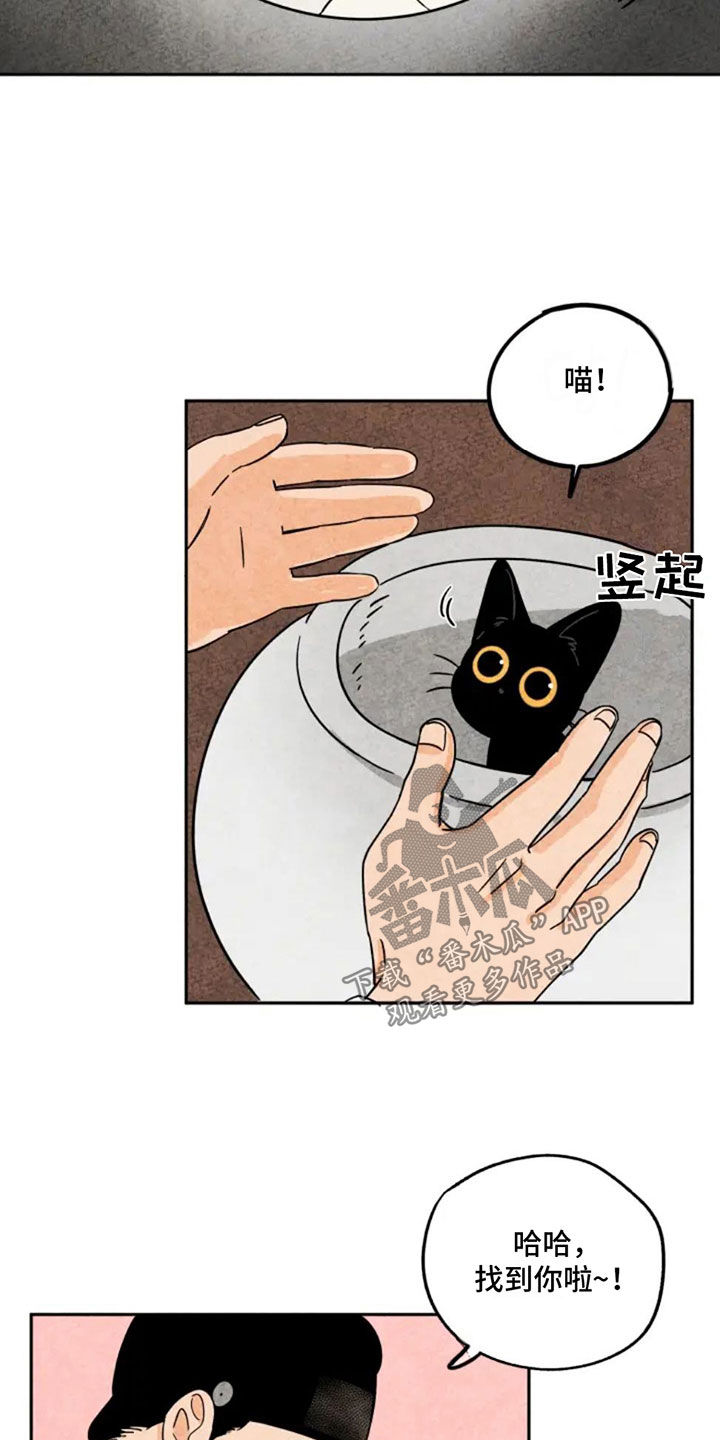 金福与瑞玉猕猴桃哪个品种更好漫画,第82章：出门2图