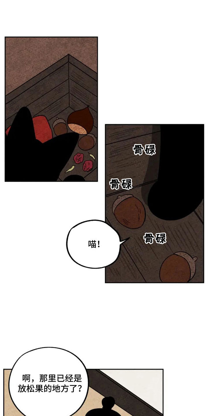 金福与瑞玉猕猴桃哪个品种更好漫画,第82章：出门5图