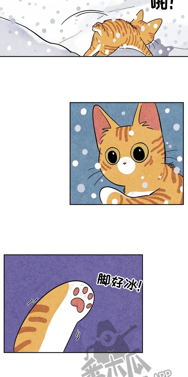 金福的意思是什么漫画,第61章：大橘3图