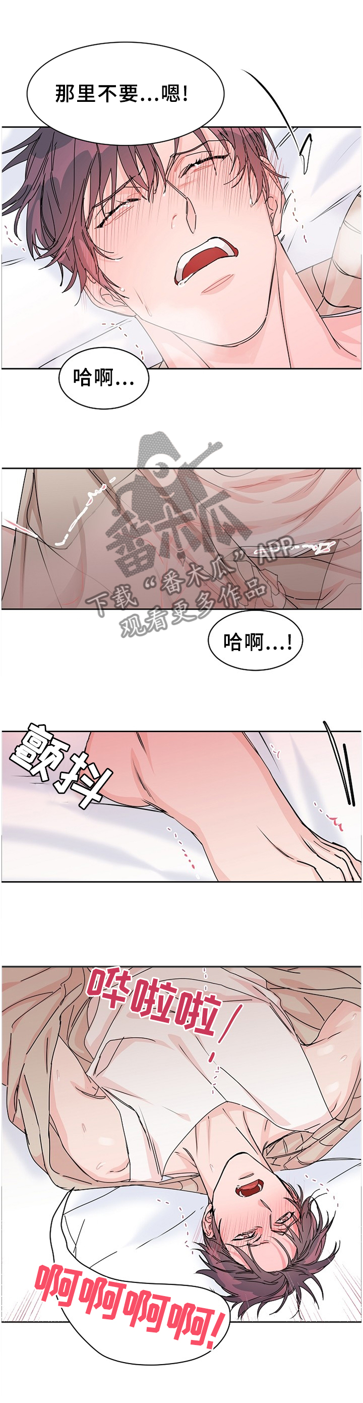 攻略工作狂漫画,第75章：【第二季】所有的爱2图