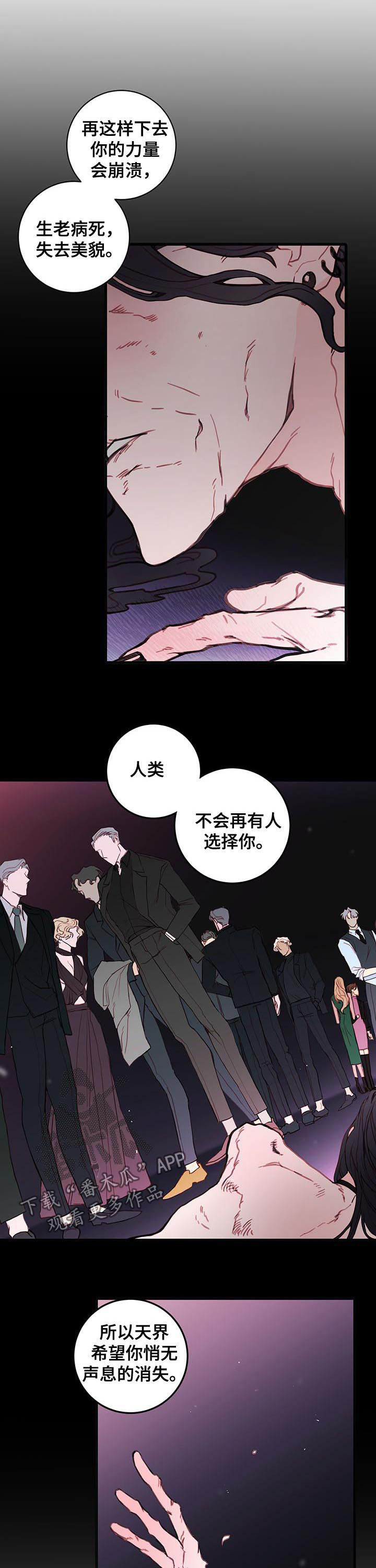 《恶魔的契约》漫画,第53章：谎言3图