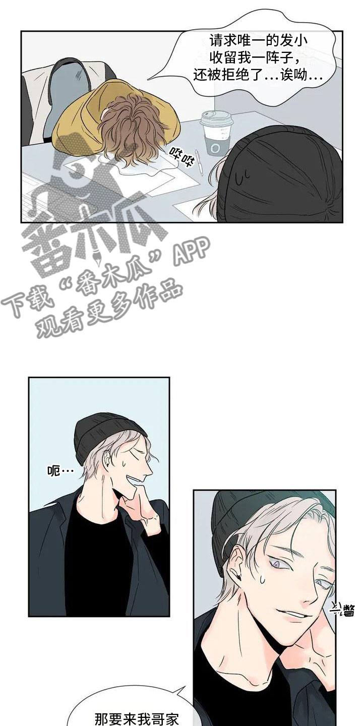 暗香旧时月色漫画,第33章：季节回来了：哥回来了4图