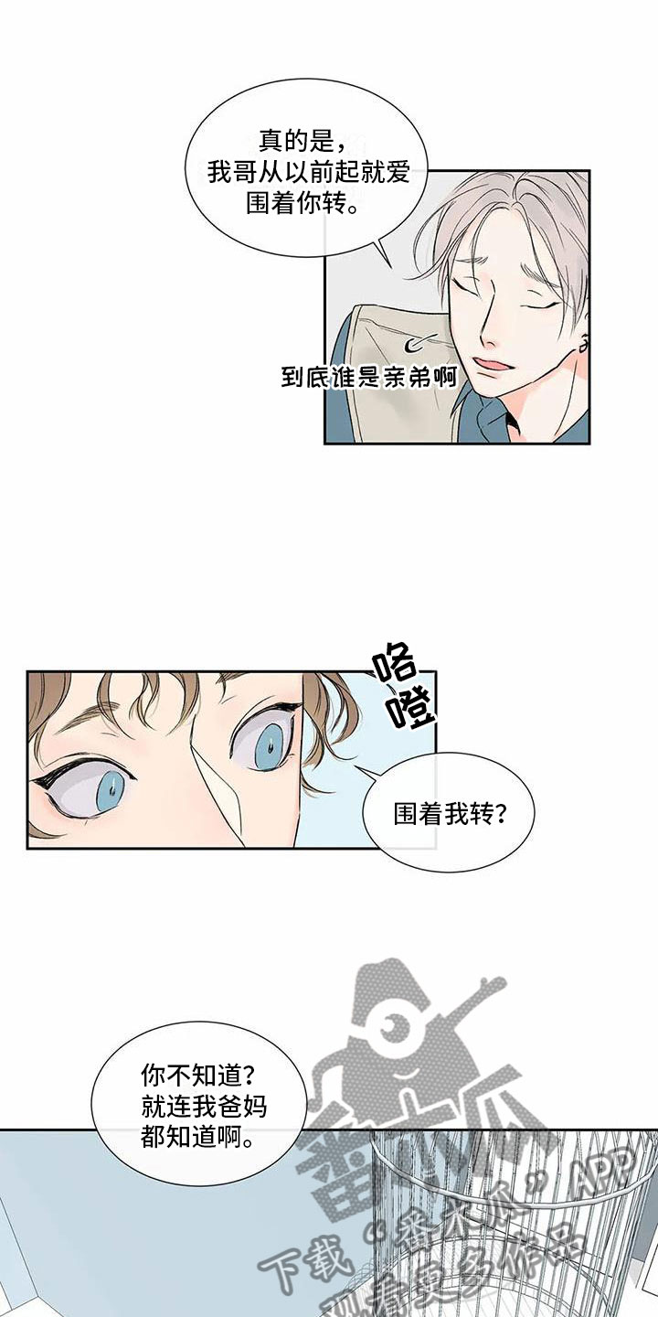 暗香集体舞蹈视频完整版漫画,第36章：季节回来了：终于走了3图