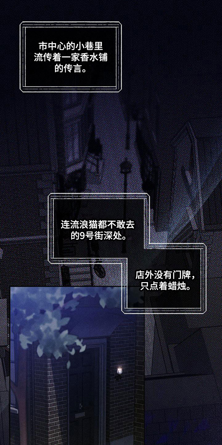 暗香第7集完整版漫画,第1章：精华：神秘香水铺1图