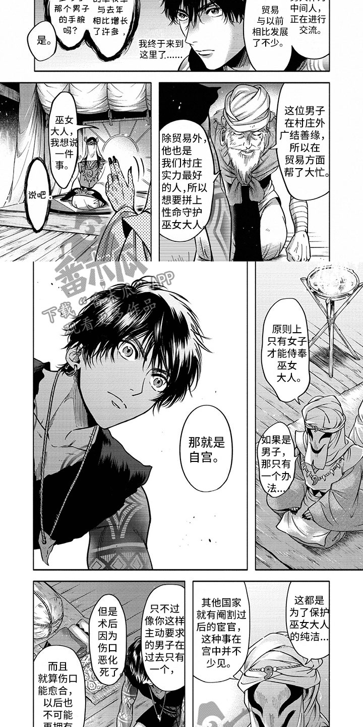 女王伪装漫画高清版漫画,第5章：进宫5图