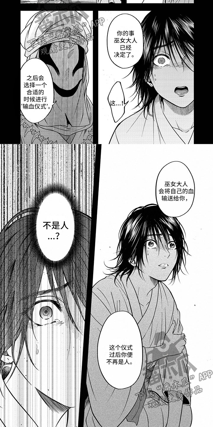 女王的手术刀免费漫画全集漫画,第10章：巫女候选5图