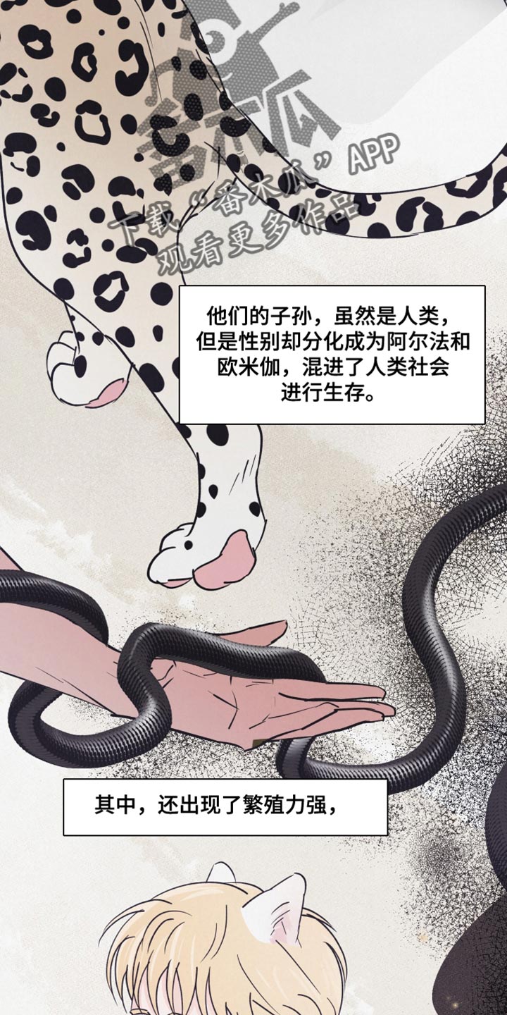 热量最低的食物漫画,第15章：动物形状3图