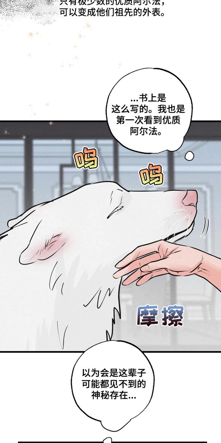 热量最低的食物漫画,第15章：动物形状5图