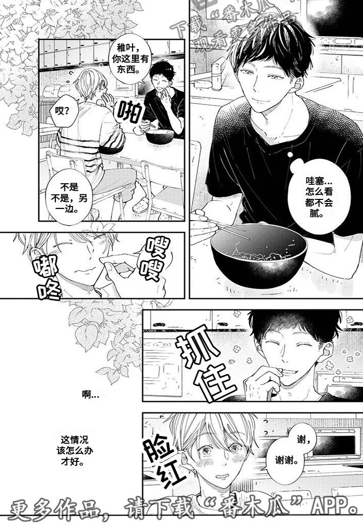 双向明恋算单身吗漫画,第51章：处理伤口5图