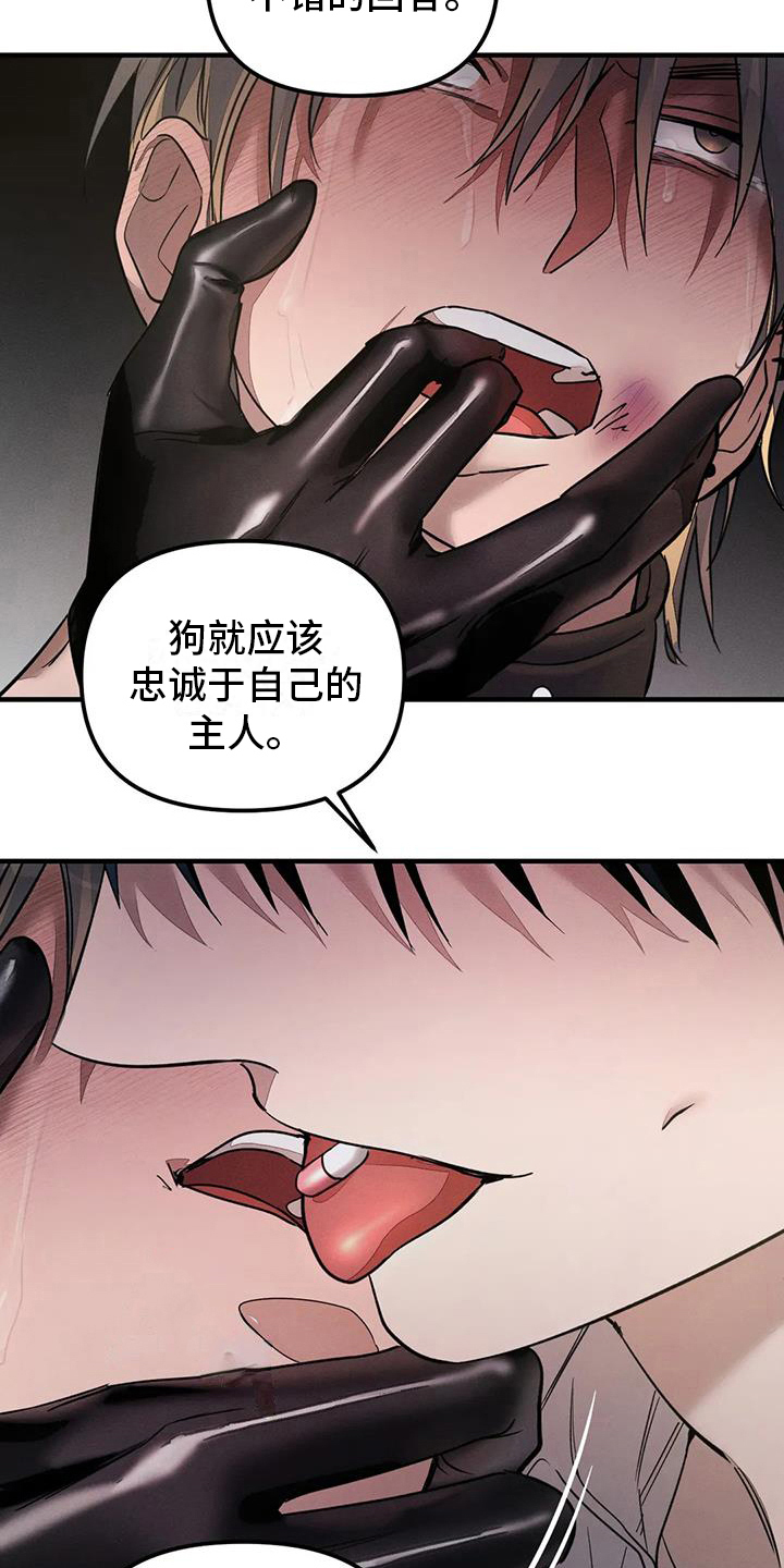 狂攻公寓盲点免费完整版阅读漫画,第61章：养狗：反抗2图