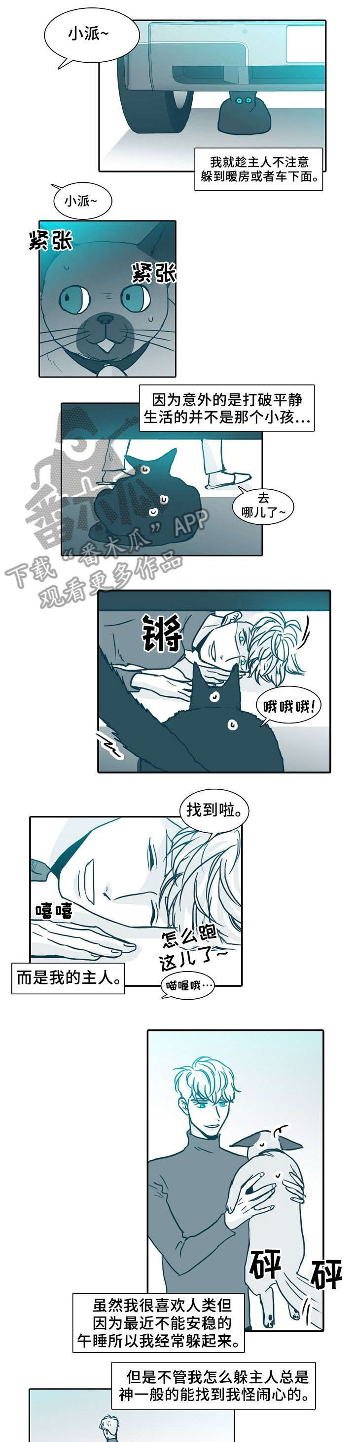 公安三十天立案不立案的期限漫画,第63章：做饭5图