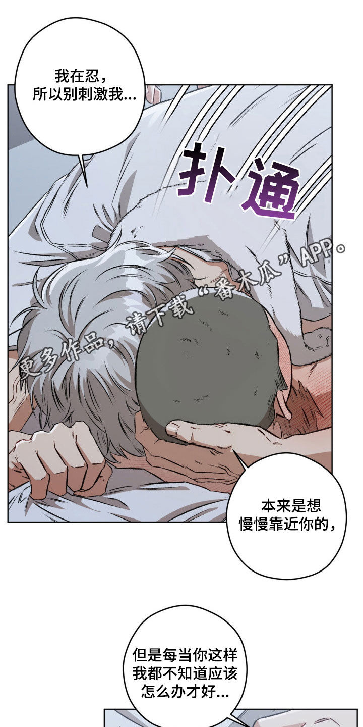 区域协调发展取得历史性成就漫画,第104章：【第二季】更喜欢了1图