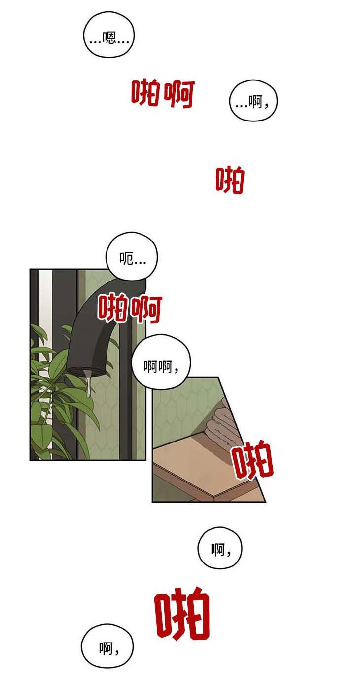 区域间谍动漫推荐漫画,第33章：结束1图