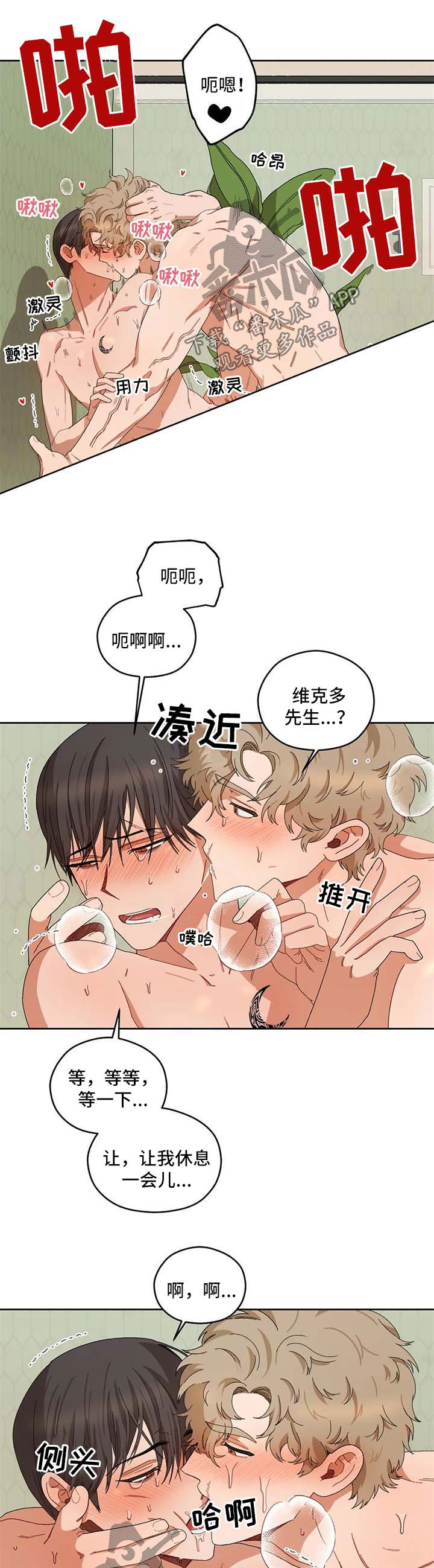 区域间谍动漫推荐漫画,第33章：结束2图