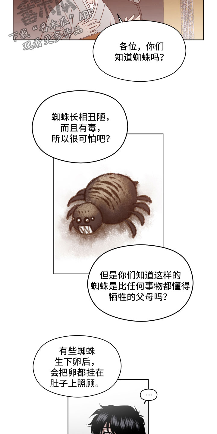 邻居在谈笑风生漫画,第4章：蜘蛛的故事4图